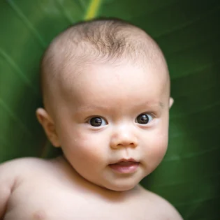 0 to 3 month old baby